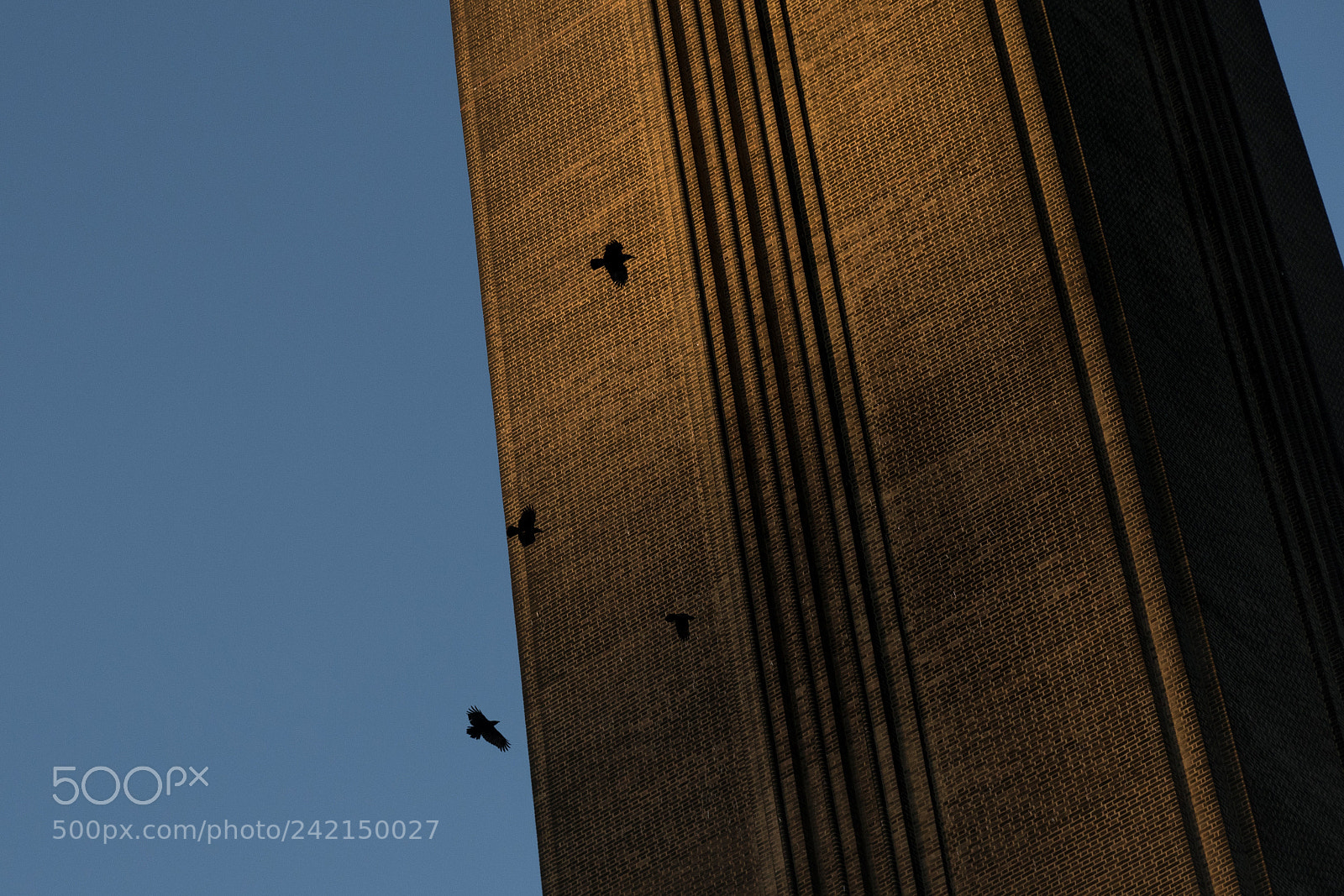 Sony a6300 sample photo. London ravens photography