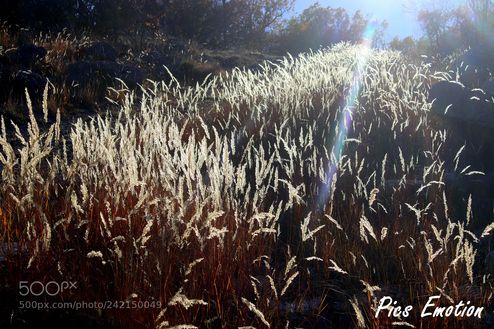 Canon EOS 77D (EOS 9000D / EOS 770D) sample photo. Nature photography