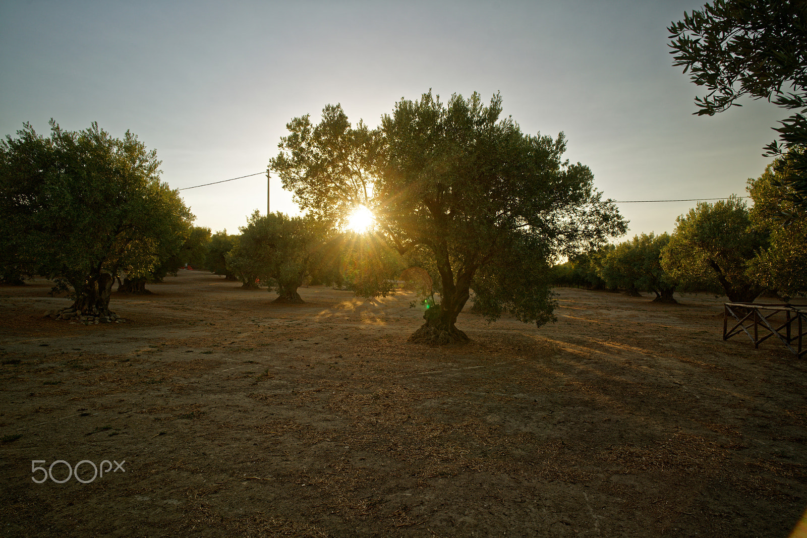 ZEISS Batis 18mm F2.8 sample photo