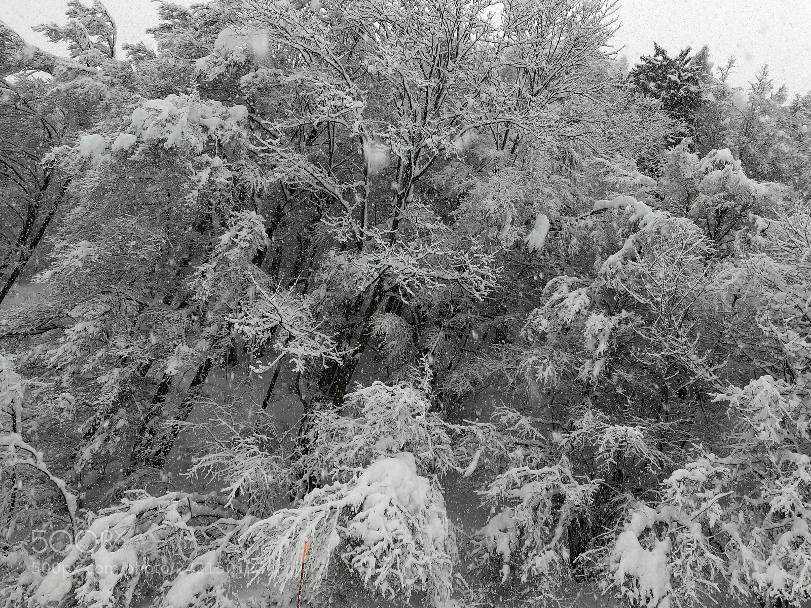 HUAWEI Mate 9 sample photo. Snow photography