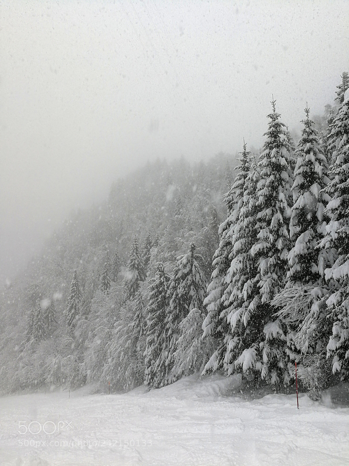 HUAWEI Mate 9 sample photo. Snow photography