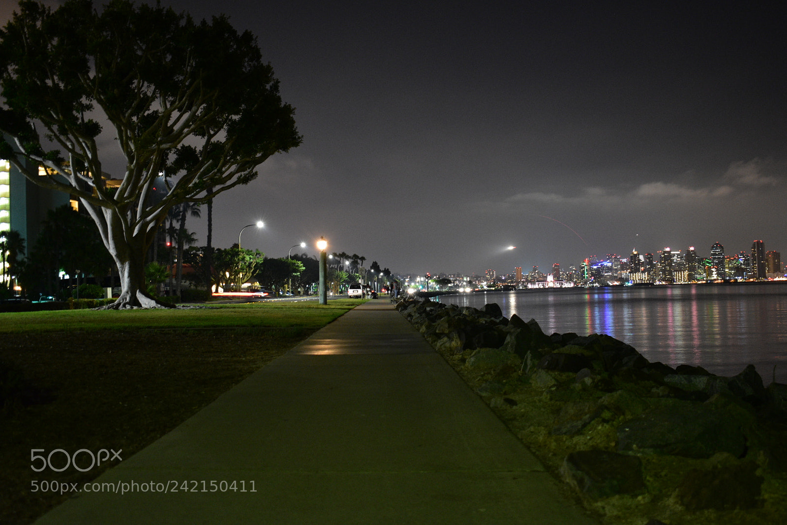 Nikon D3400 sample photo. ? photography