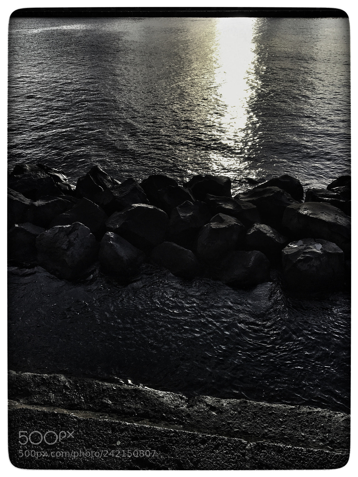 Apple iPhone 6s sample photo. Untitled photography