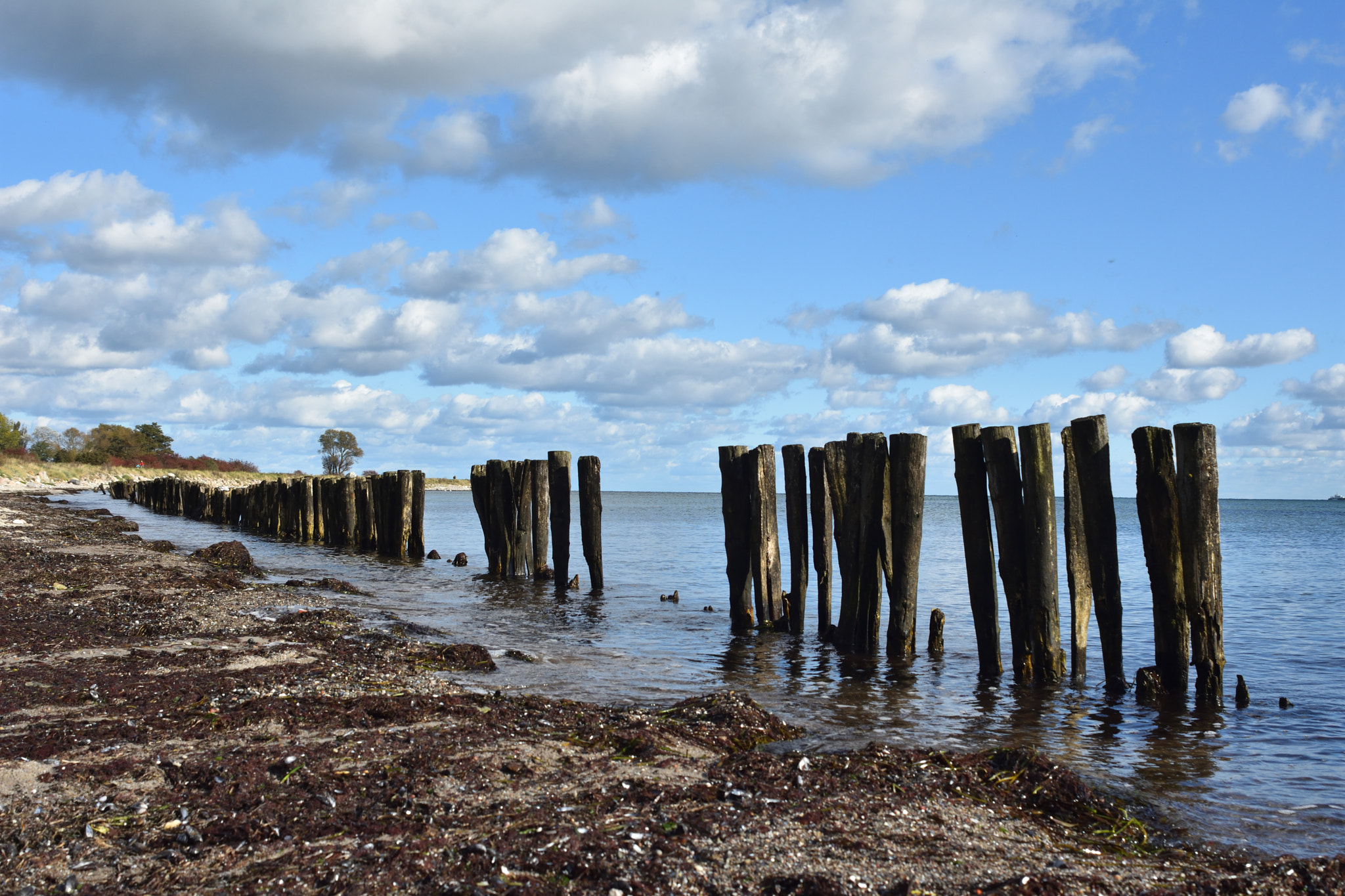 AF Zoom-Nikkor 28-85mm f/3.5-4.5 sample photo. Vitamin sea photography