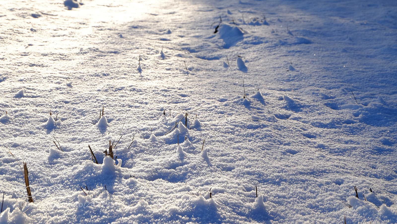 Fujifilm X-T10 sample photo. Fluffy snow photography