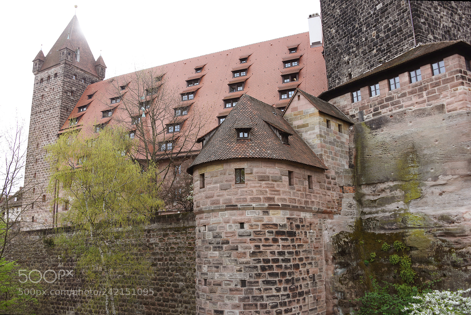 Nikon D810 sample photo. Historic castle photography