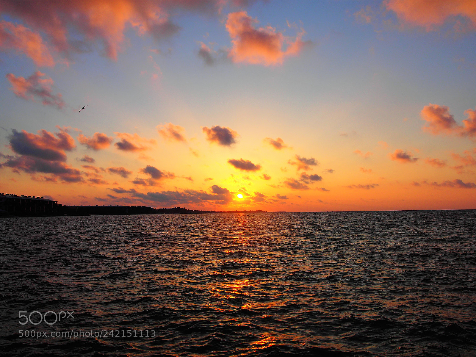 Olympus PEN E-PM2 sample photo. Key west early sunrise photography