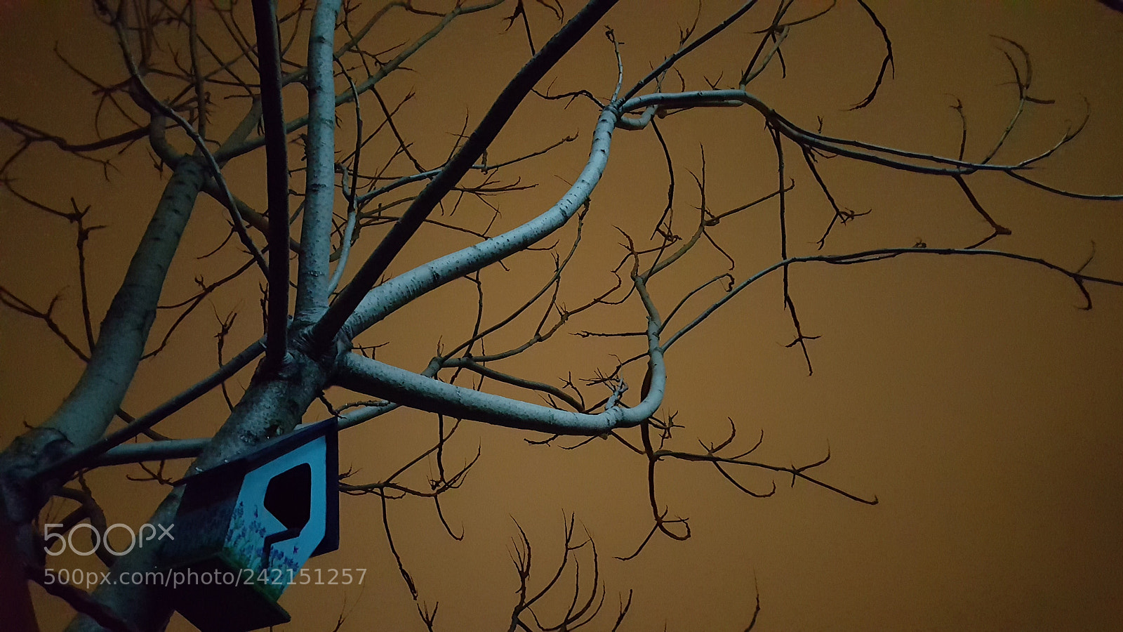 Samsung Galaxy Note5 sample photo. Untitled photography