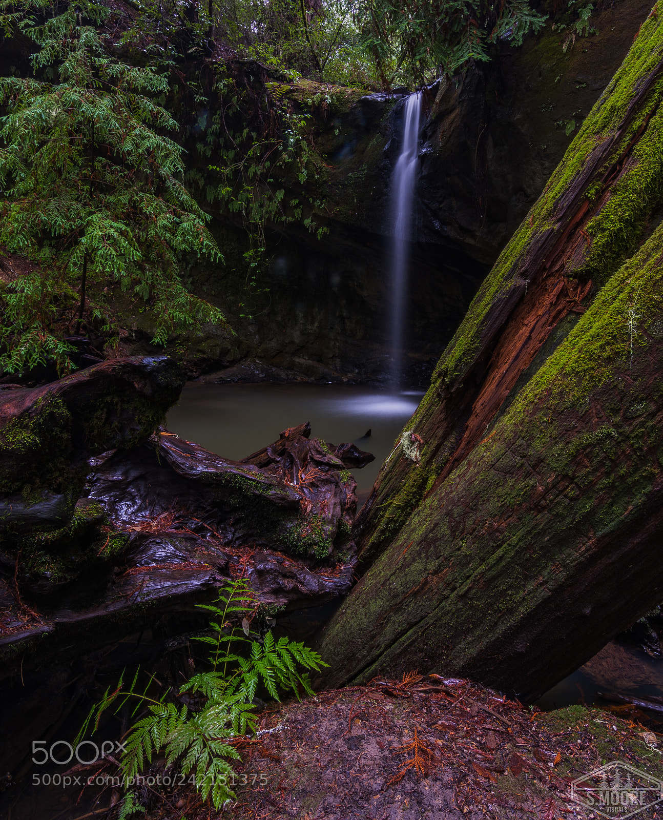 Nikon D7200 sample photo. Sempervirens falls photography