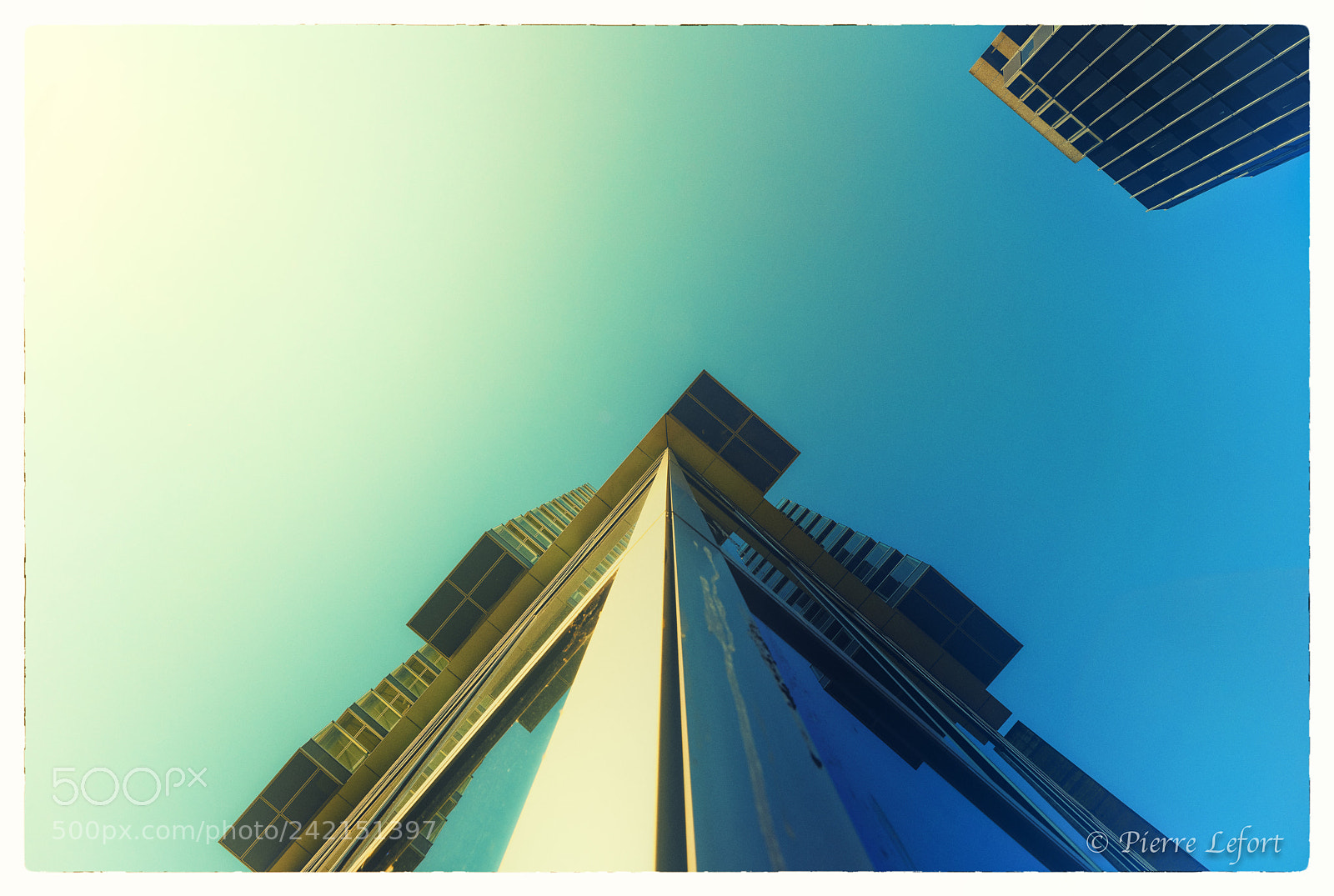 Nikon D800 sample photo. Rotterdam photography