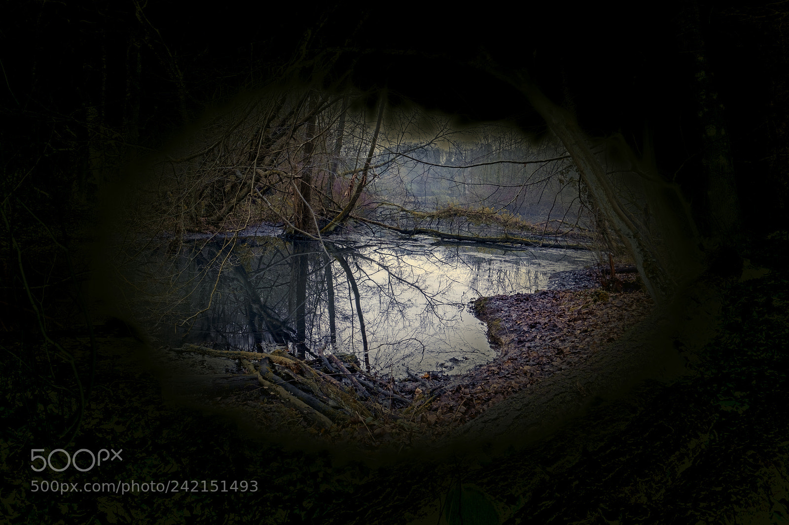 Fujifilm X-Pro1 sample photo. Out of the cave photography