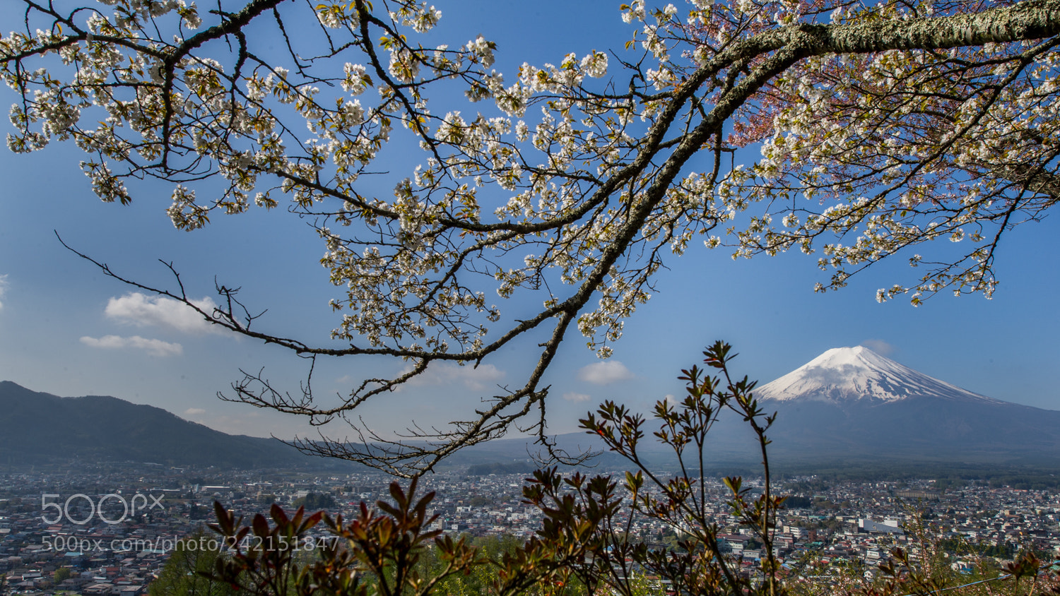 Nikon D3S sample photo. Mount fuji photography