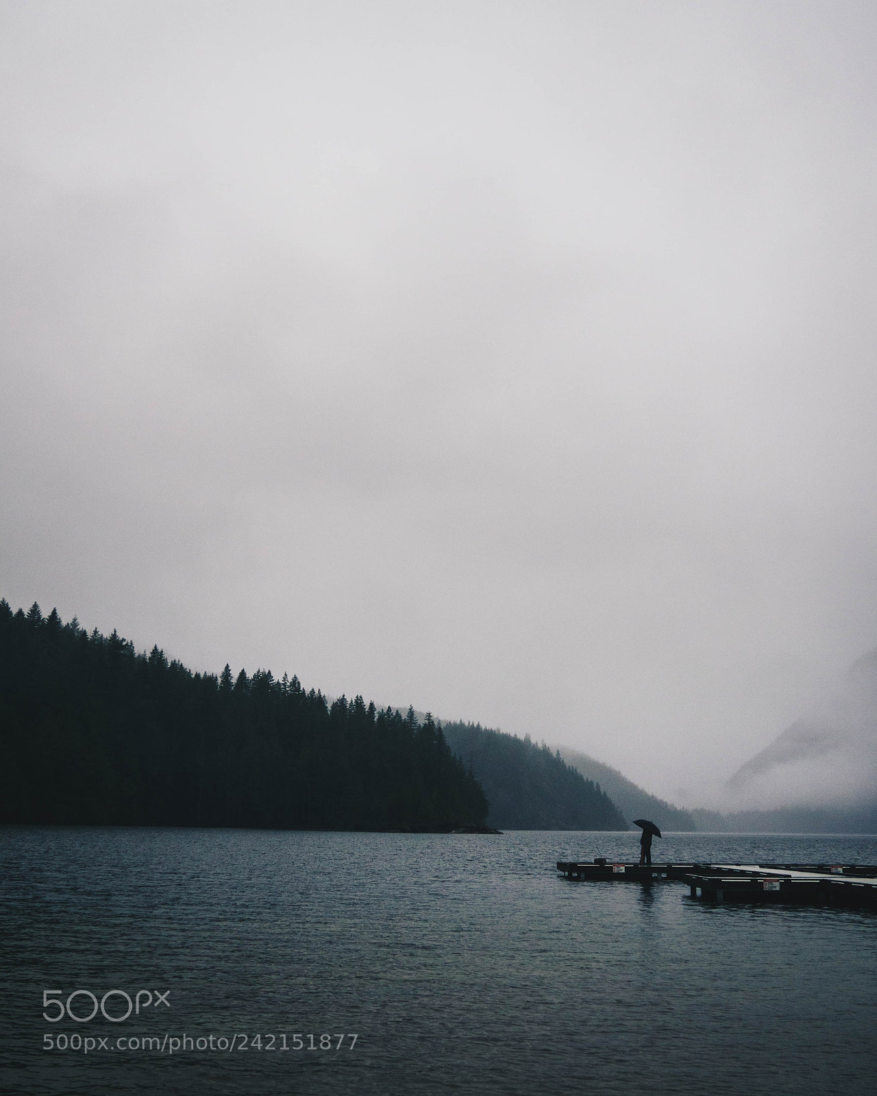 Olympus OM-D E-M10 II sample photo. Moody photography