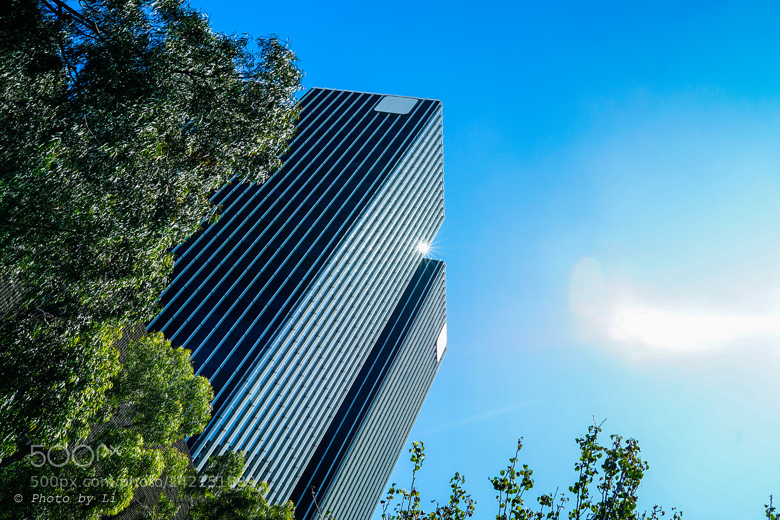 Sony a7 II sample photo. In la, california photography