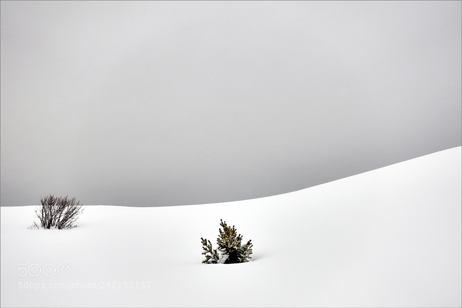 Sony DSC-RX100M5 sample photo. Emptiness and snow photography