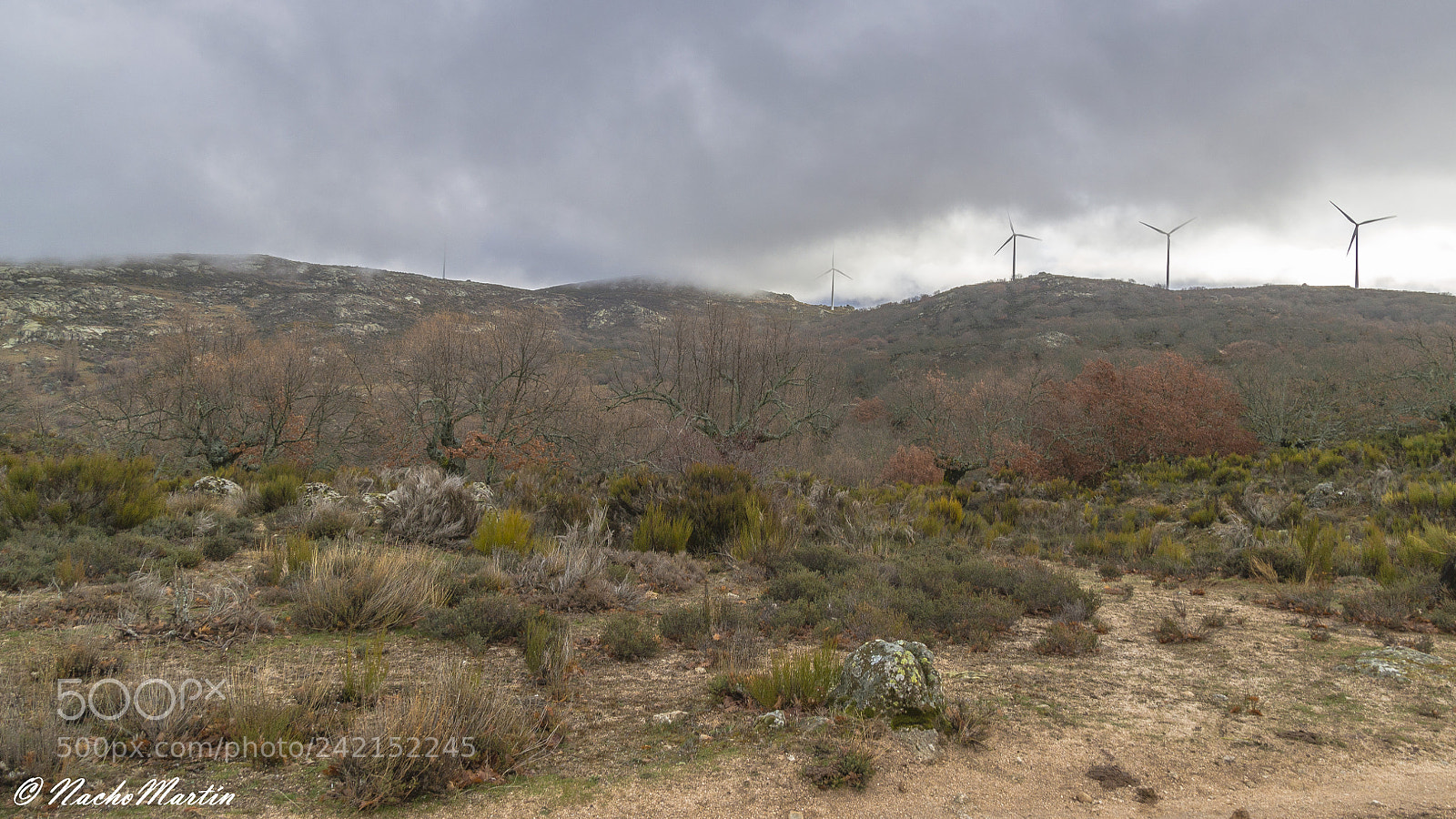 Nikon D3100 sample photo. Robles y molinos photography