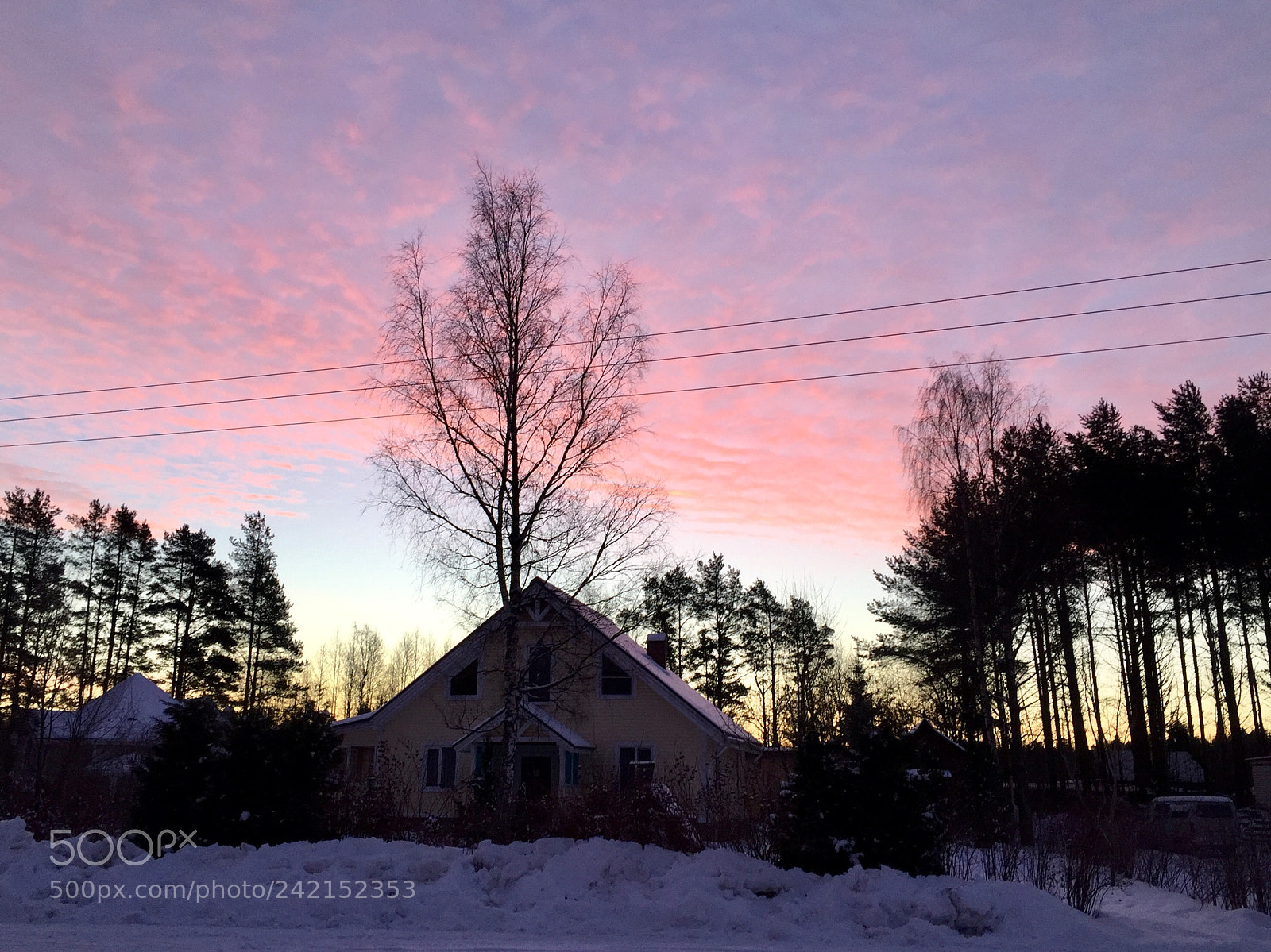Apple iPhone 6 sample photo. Untitled photography