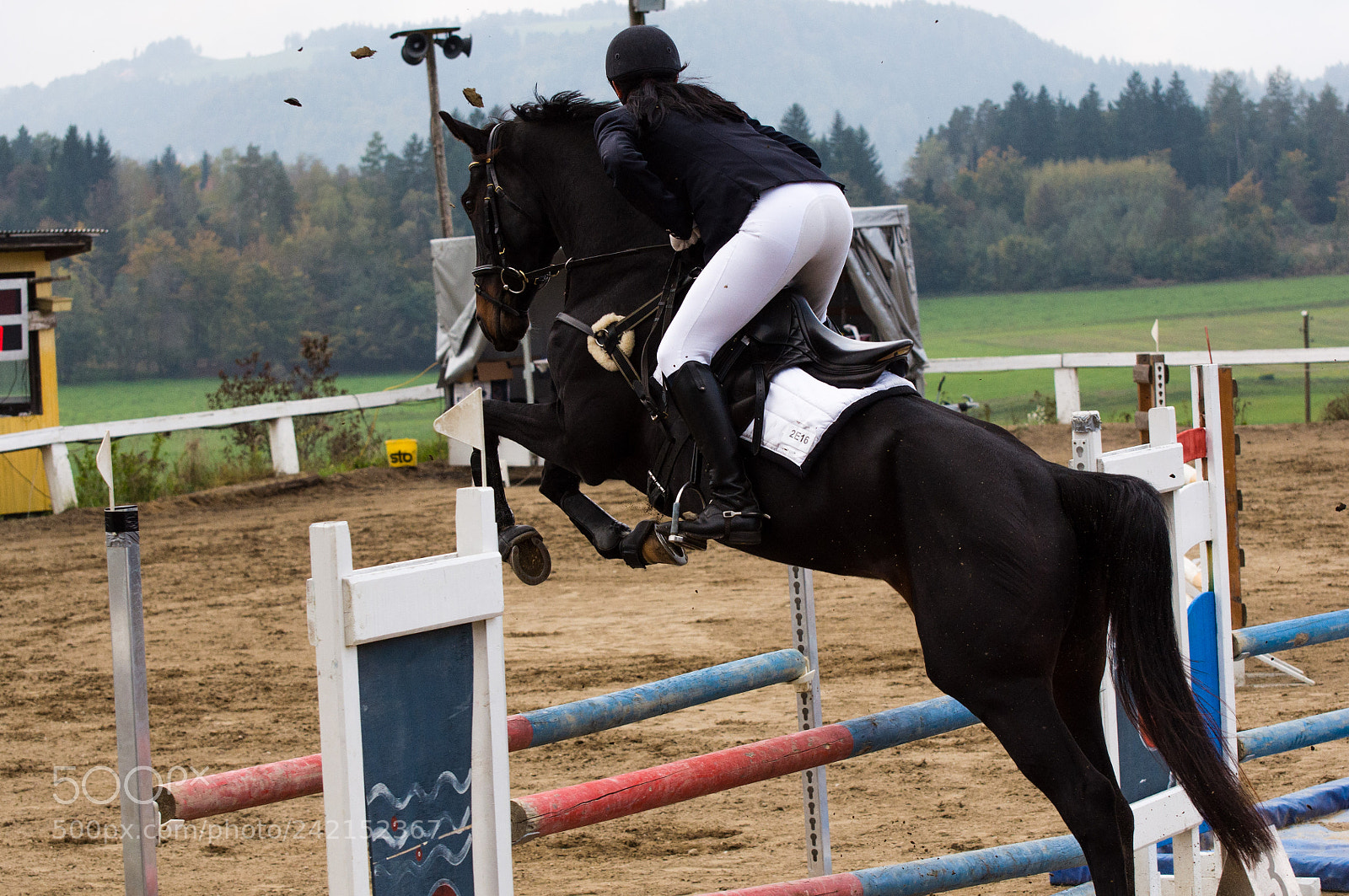 Nikon D90 sample photo. Show jumping photography