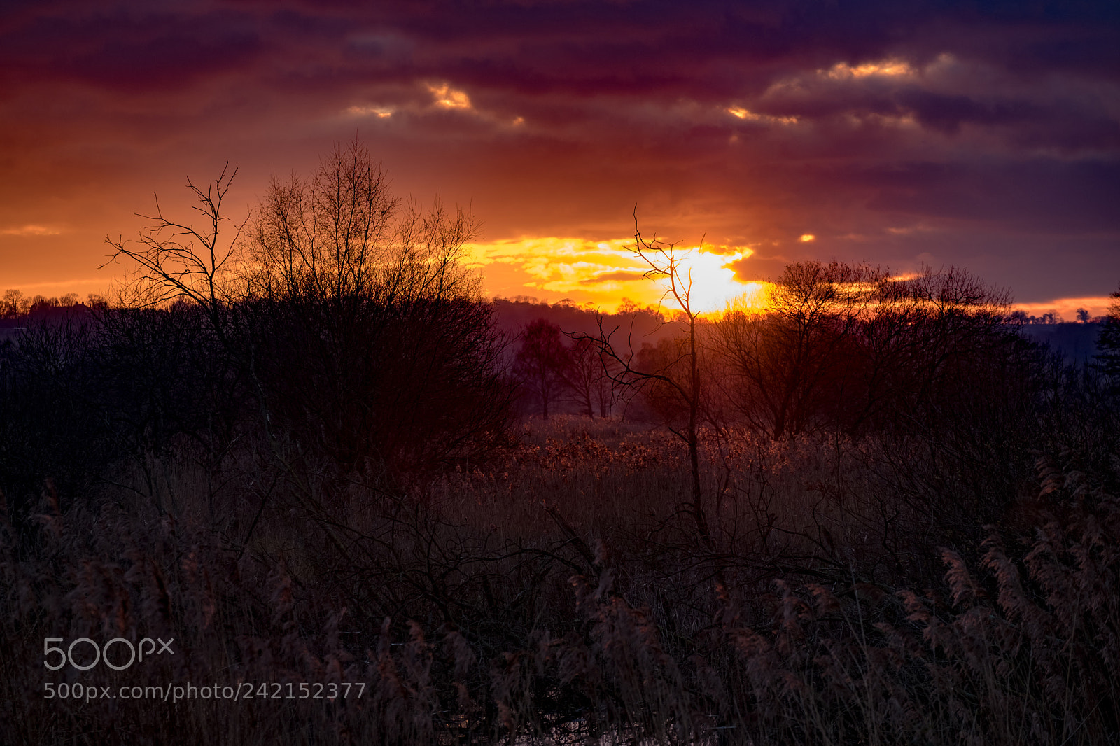 Fujifilm X-T20 sample photo. Ham wall sunset photography