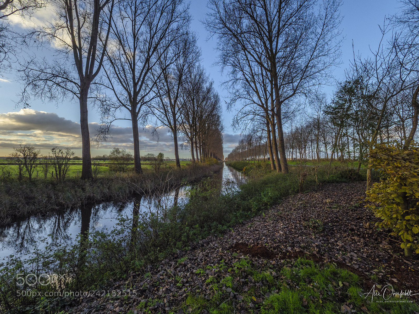 Olympus OM-D E-M1 Mark II sample photo. From damme to bruges photography