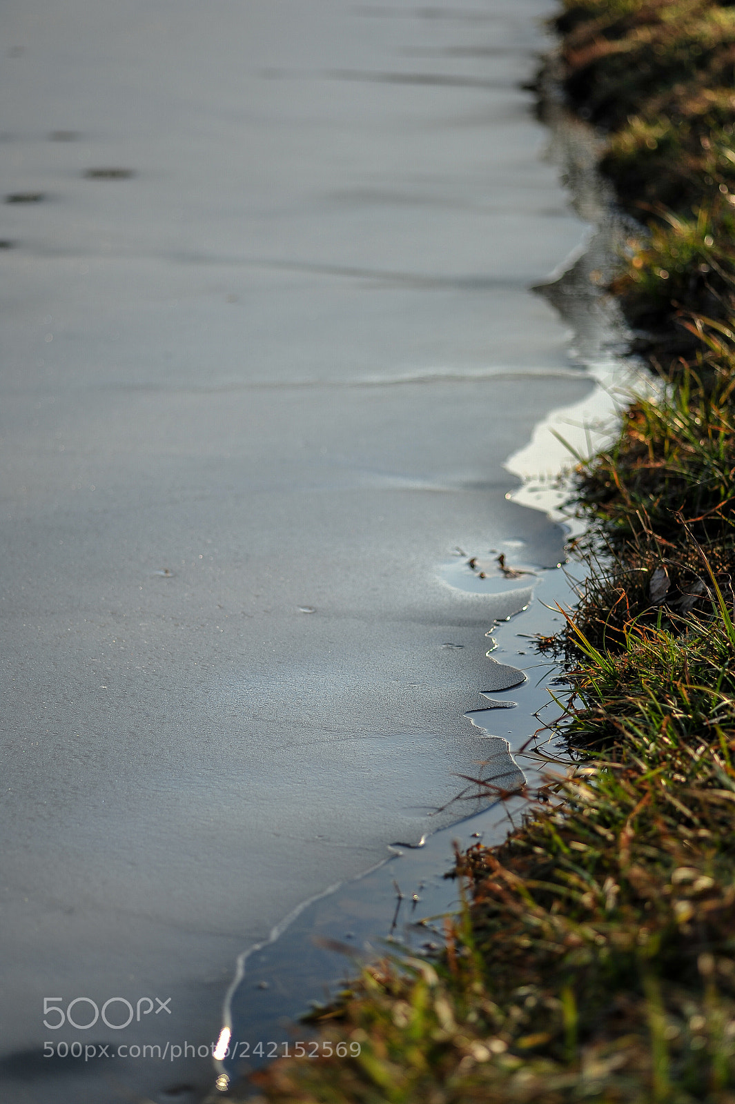 Nikon D700 sample photo. Water's edge photography
