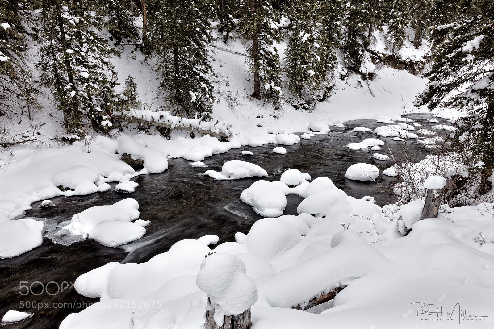 Canon EOS 5DS R sample photo. Snow tracks photography
