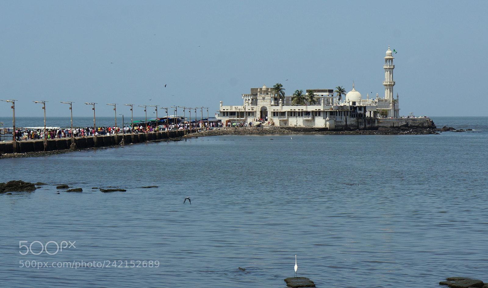 Sony Alpha NEX-5R sample photo. Dsc photography