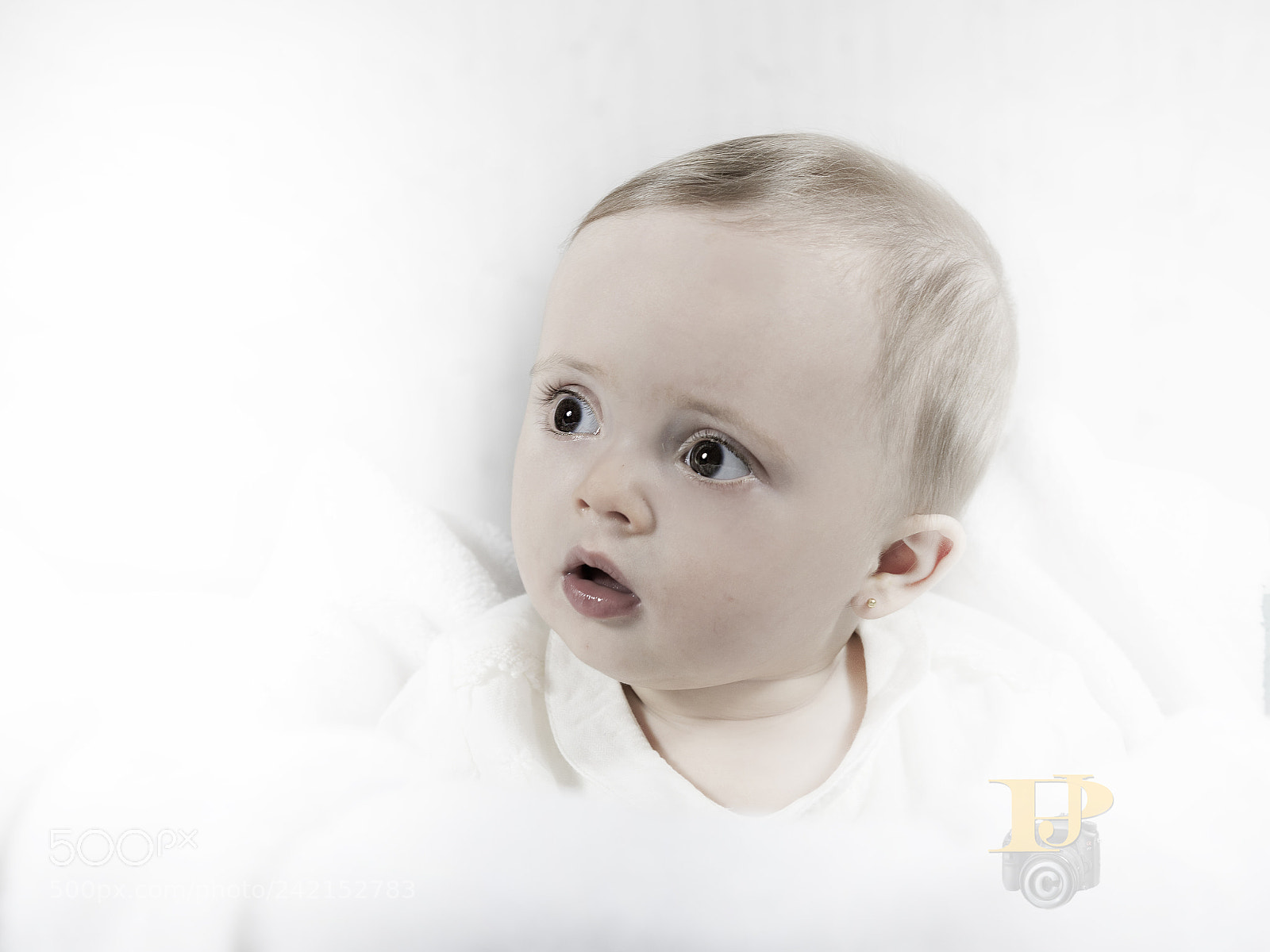 Sony a7 II sample photo. M. victoria photography