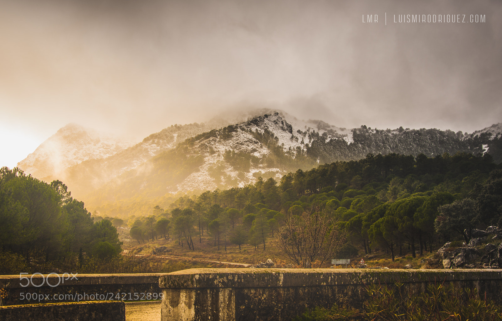 Nikon D7200 sample photo. Luces y sombras photography