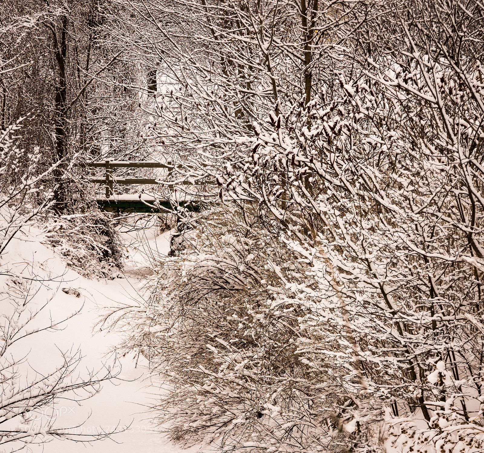 Pentax K-3 II sample photo. Bridge over snow photography