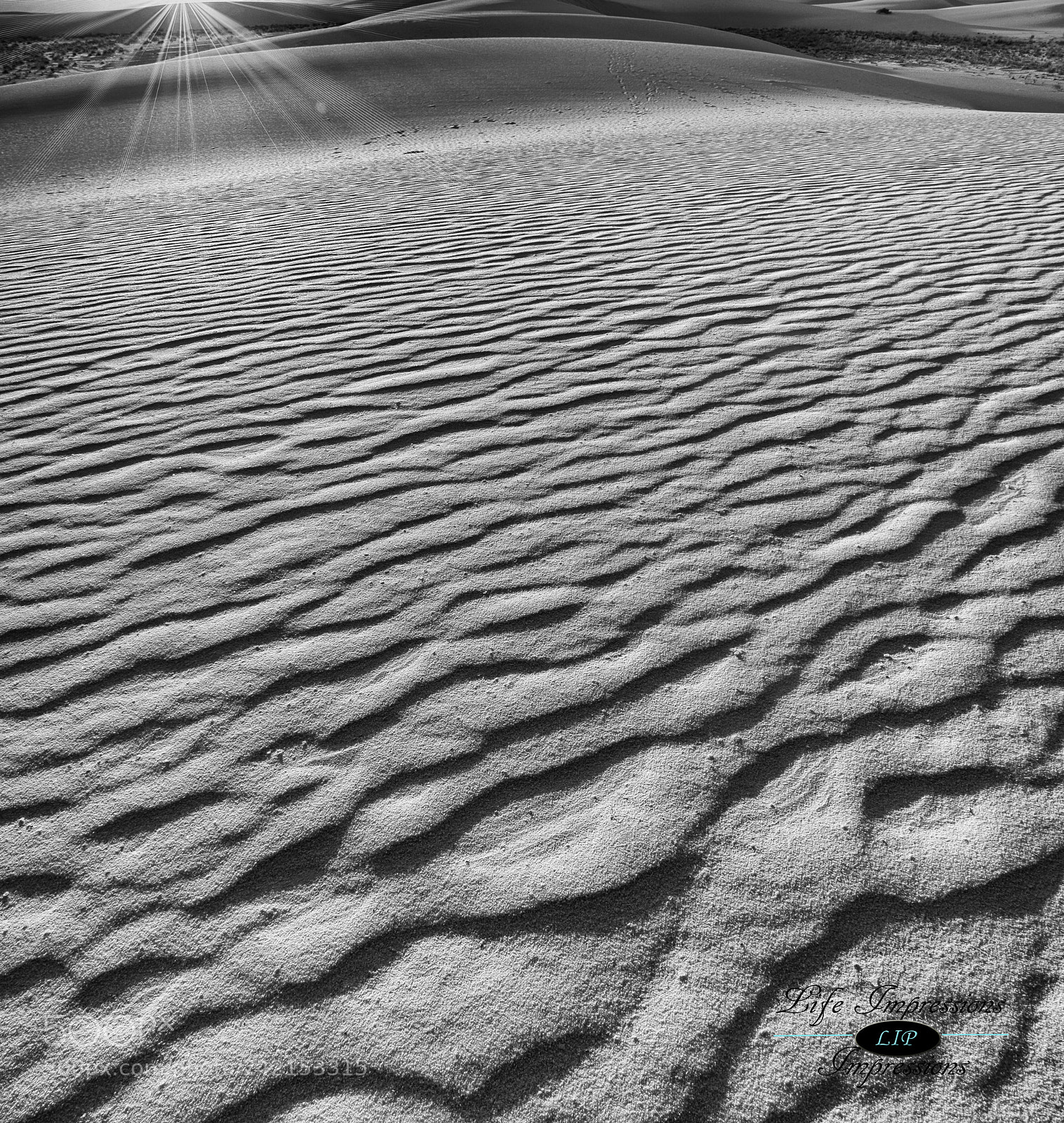 Canon EOS 50D sample photo. White sands photography