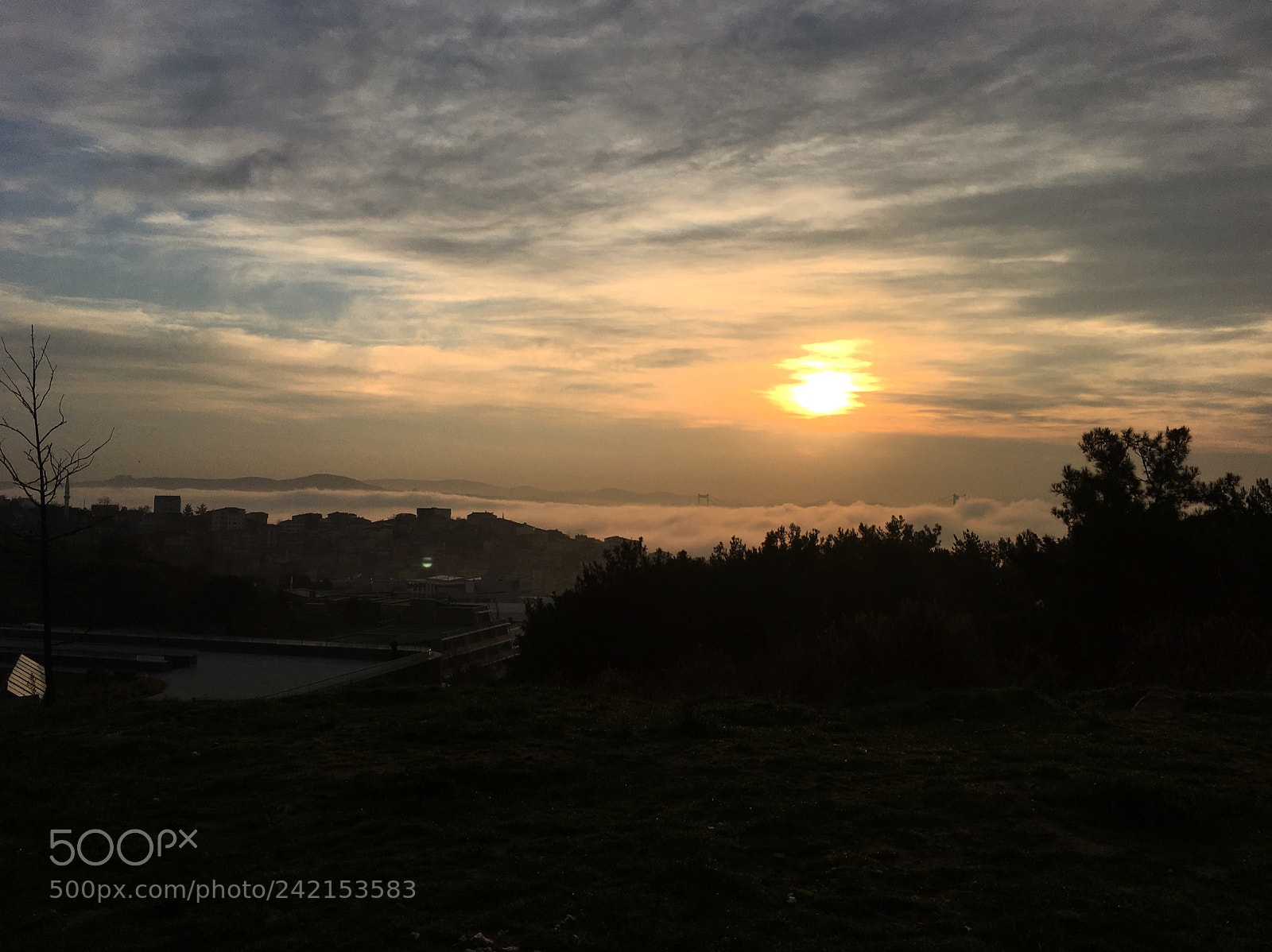 Apple iPhone 6s sample photo. Sunrise foggy photography