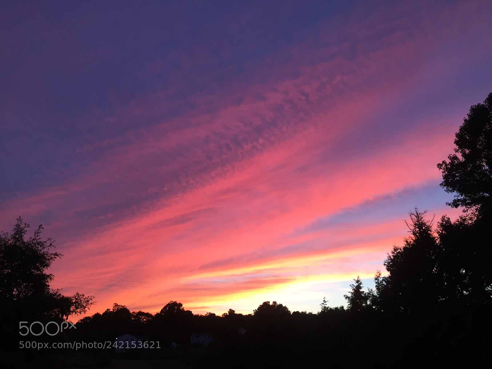 Apple iPhone 6 sample photo. Sell my art () of () photography