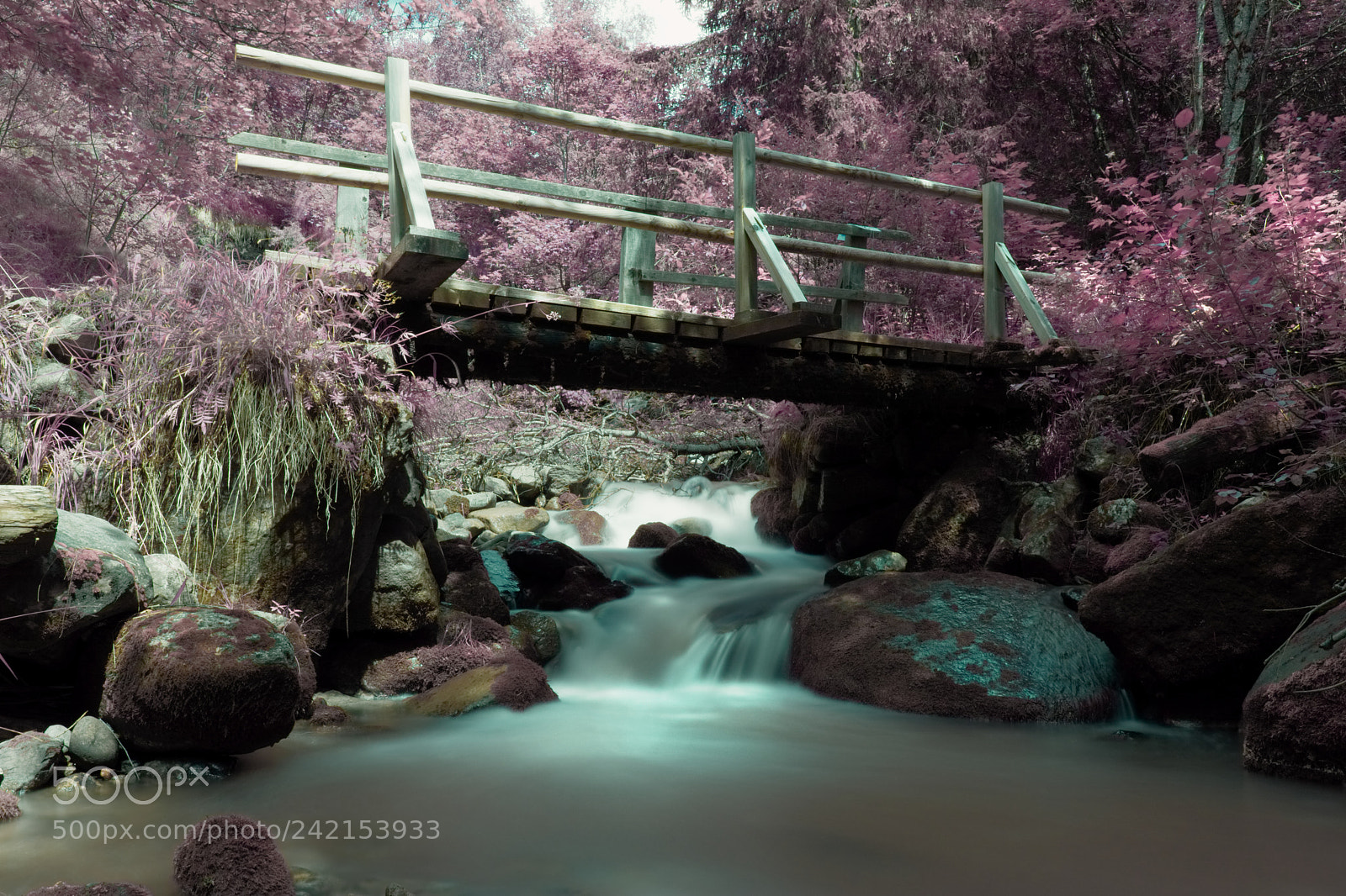 Nikon D7100 sample photo. Forest waterfall photography