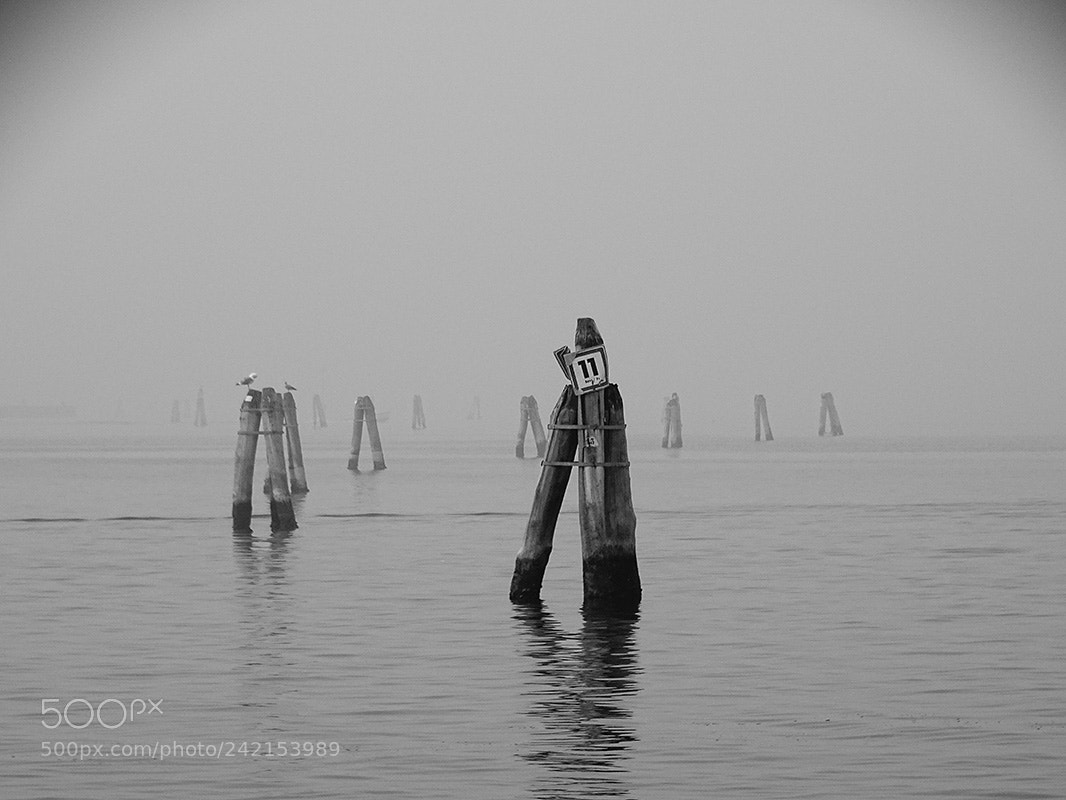 Sony Cyber-shot DSC-HX400V sample photo. Nebbia photography