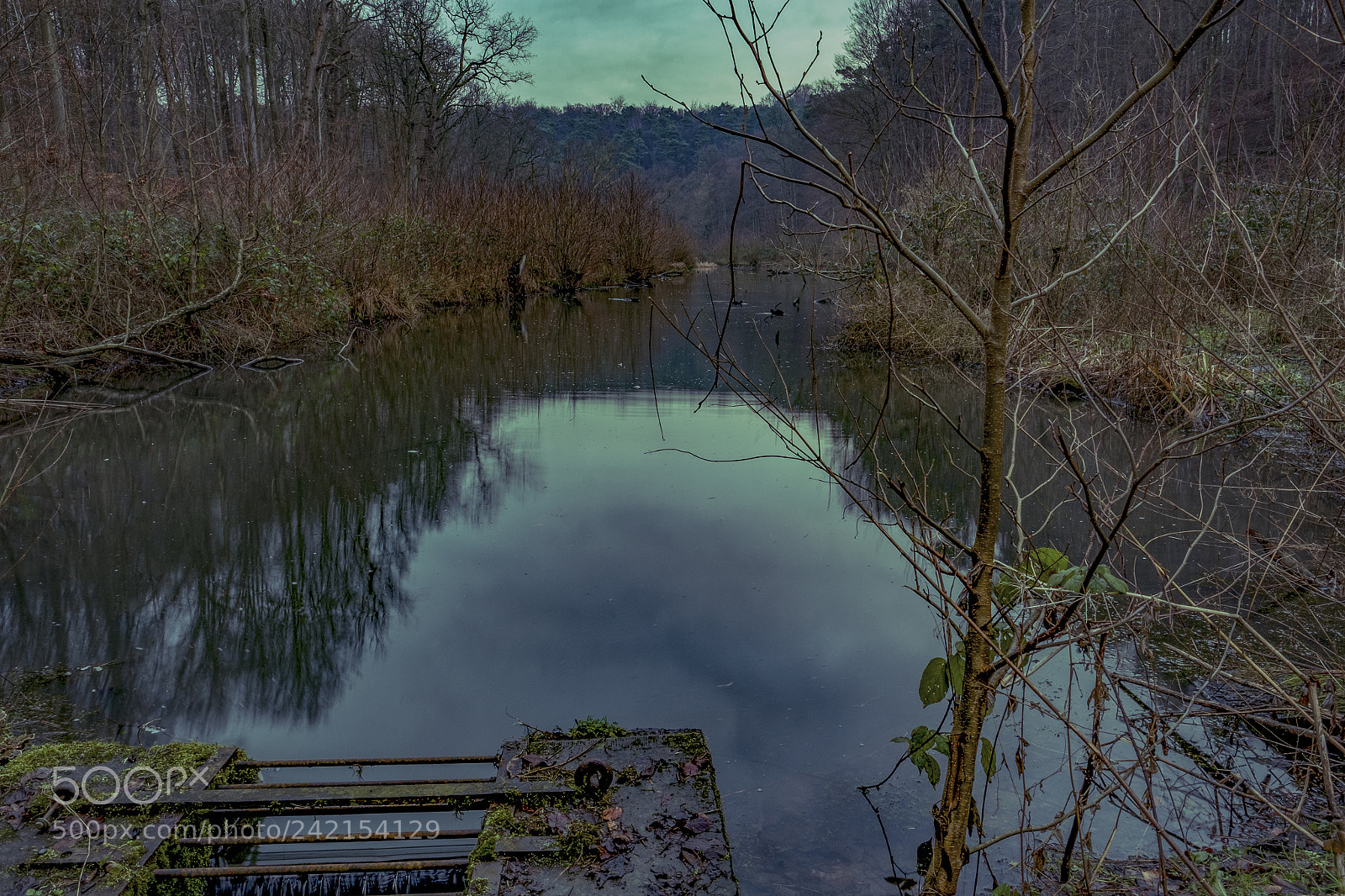 Fujifilm X-Pro1 sample photo. Wintersleep photography