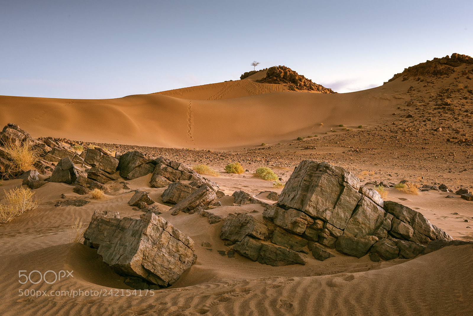 Nikon D810 sample photo. Marocco desert photography