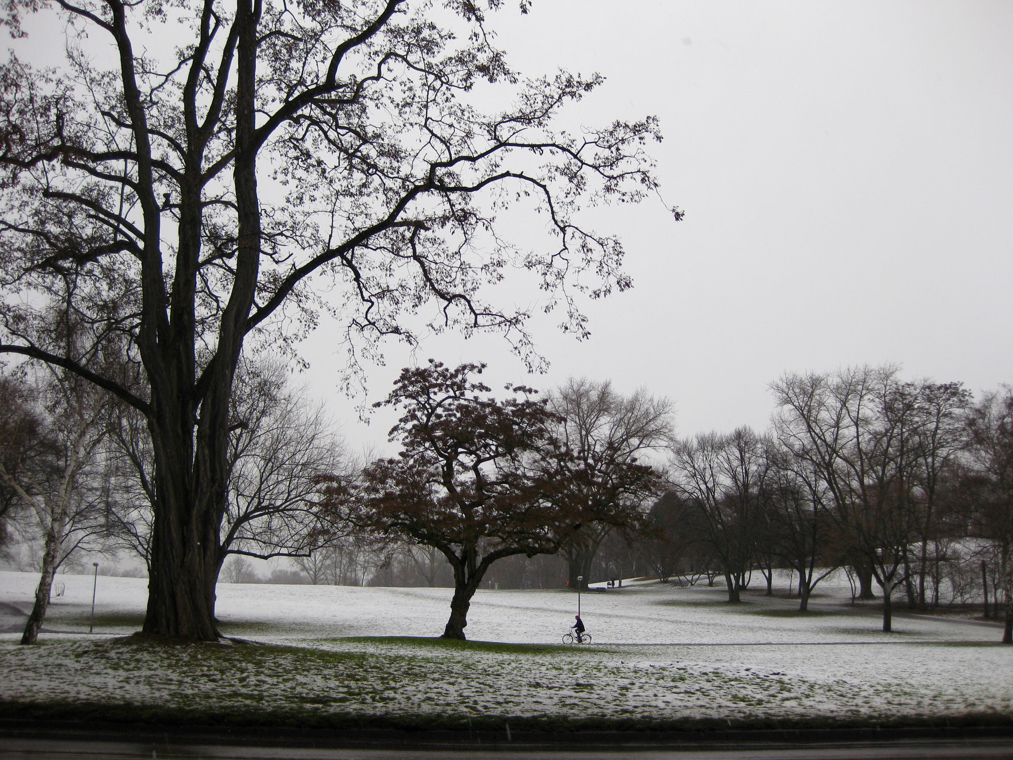 Canon PowerShot SD790 IS (Digital IXUS 90 IS / IXY Digital 95 IS) sample photo. Winter in cologne photography