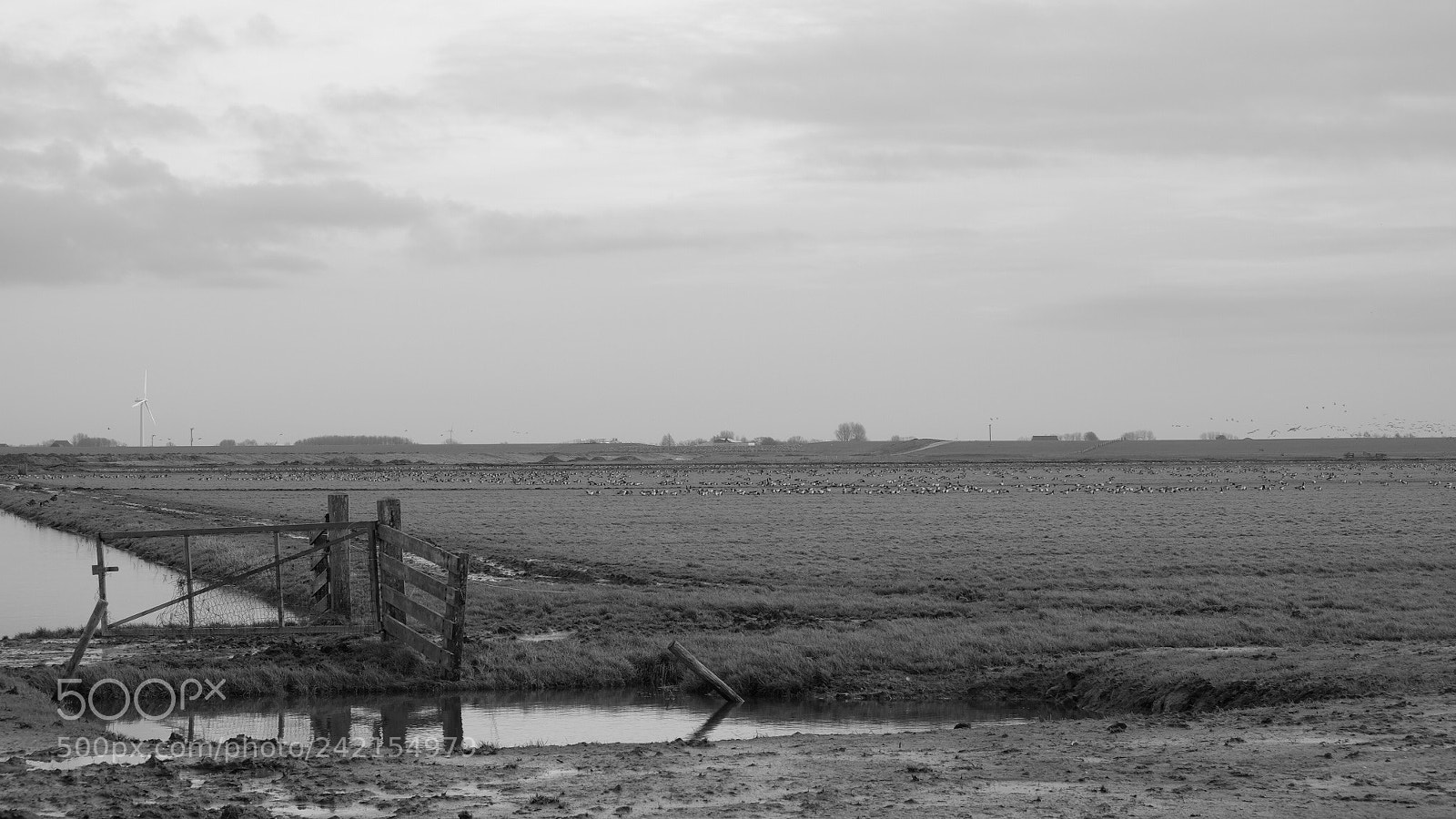Fujifilm X-E2 sample photo. Noarderleech photography