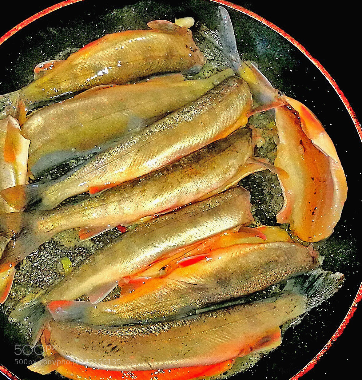 HUAWEI P9 sample photo. Arctic char and trout photography