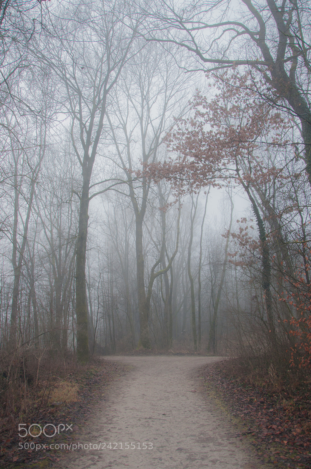 Nikon D90 sample photo. Decisions photography