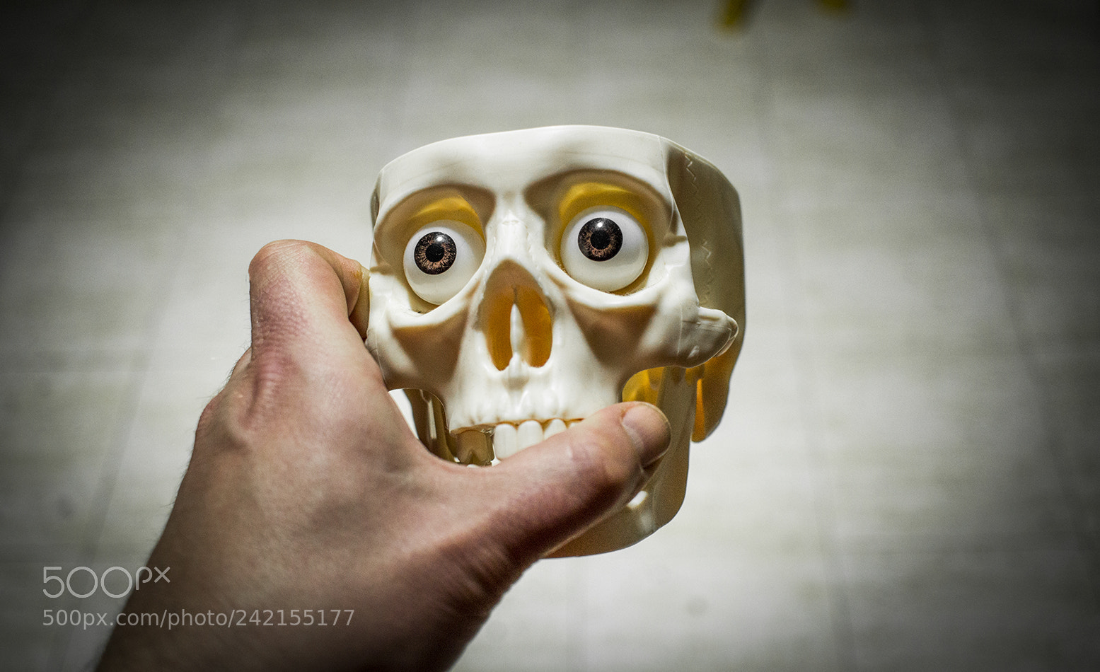 Canon EOS 100D (EOS Rebel SL1 / EOS Kiss X7) sample photo. Skull photography
