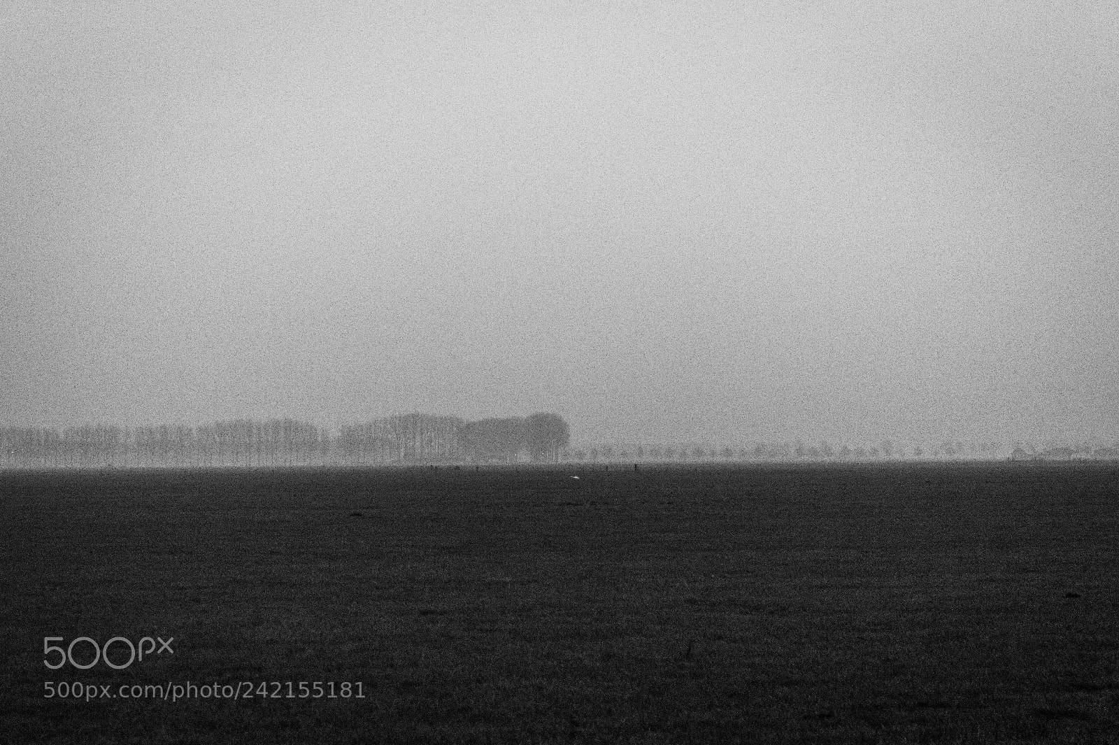 Canon EOS 550D (EOS Rebel T2i / EOS Kiss X4) sample photo. Grey dutch landscape photography