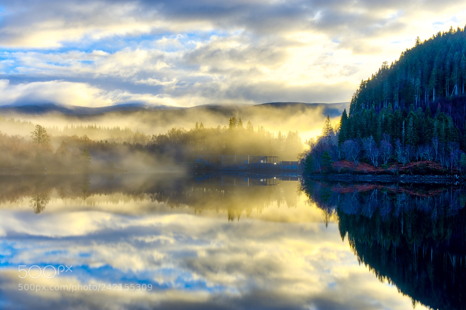 Nikon D7200 sample photo. Mist photography