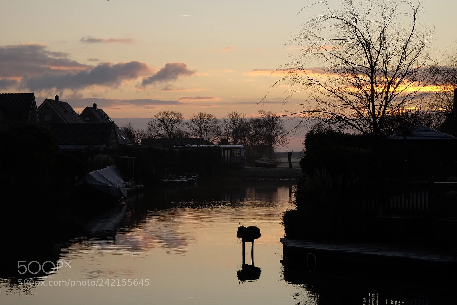 Fujifilm X-E2 sample photo. Backgarden view photography