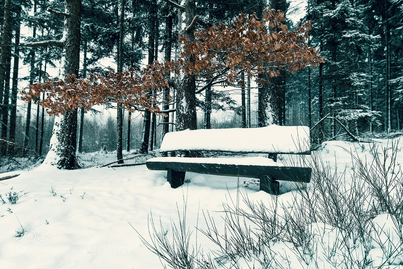 Sony a7 II sample photo. Snowbank photography