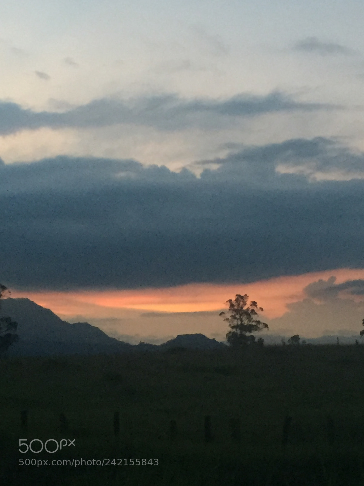 Apple iPhone 6 sample photo. Pacho cund photography