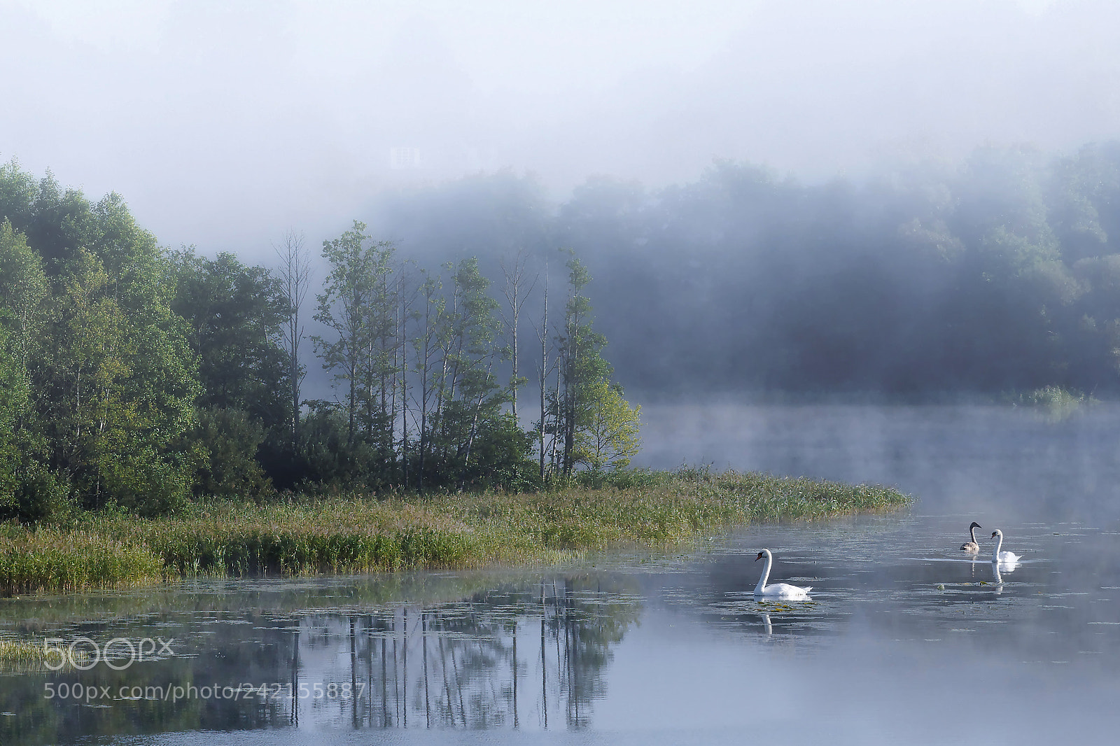 Nikon D90 sample photo. Morning photography