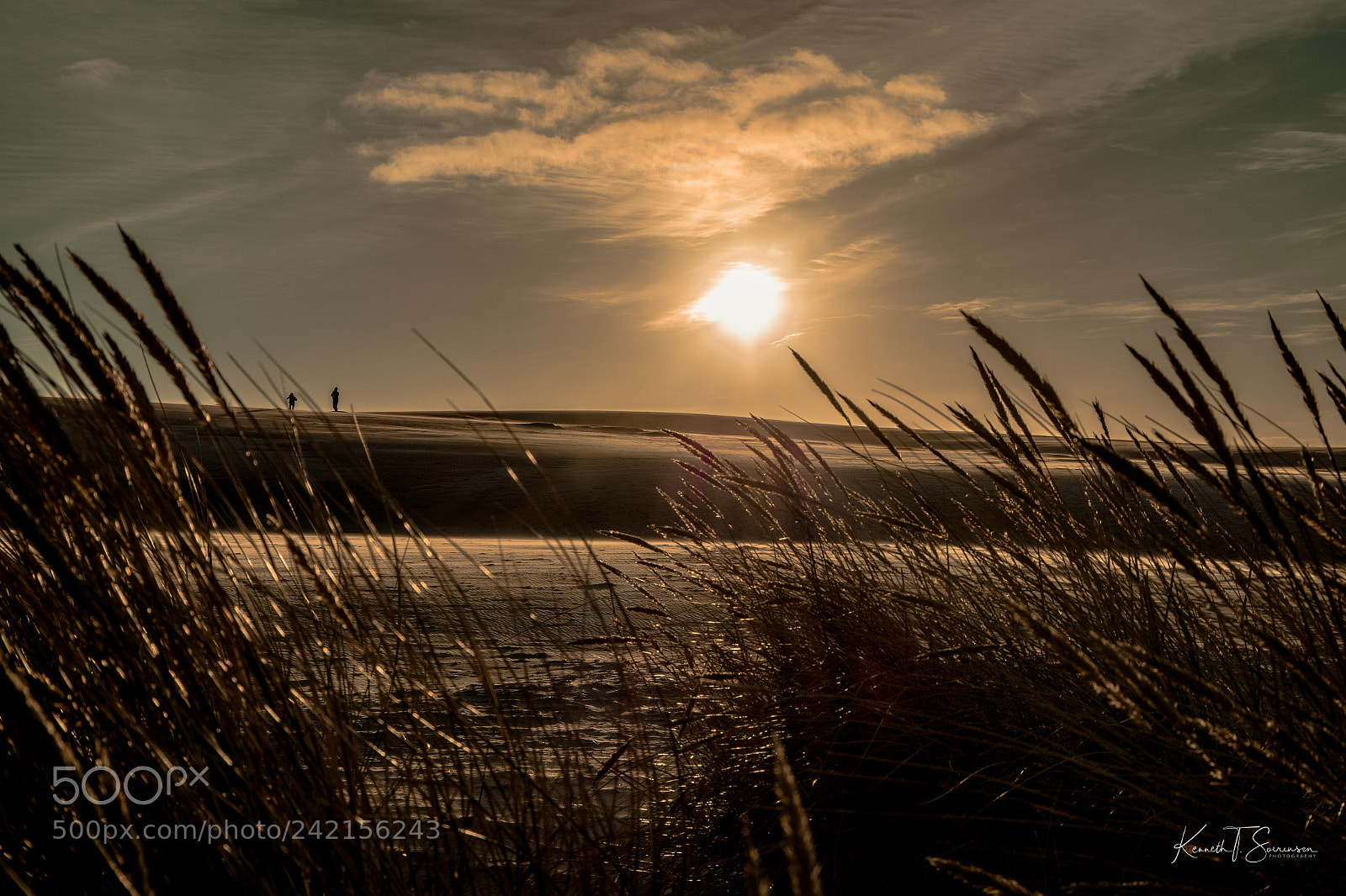 Pentax K-S2 sample photo. Northern denmark photography
