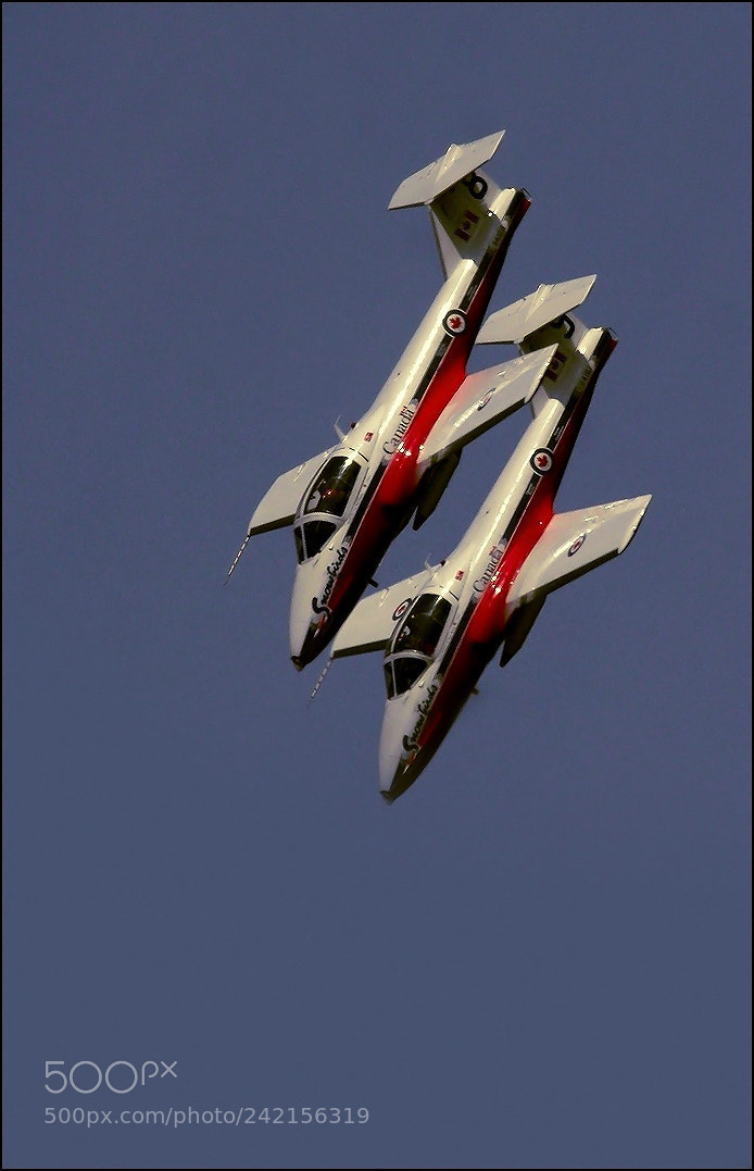 Canon EOS 20D sample photo. Orig photography